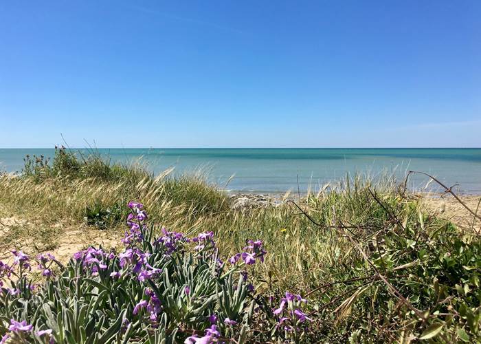 La plage de l'écussière