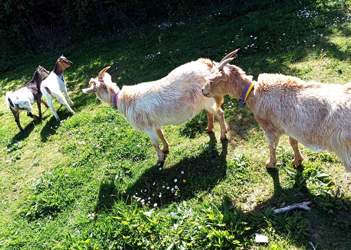 La rencontre du 3ème type-news