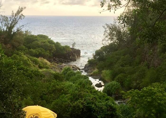 embouchure de la rivière