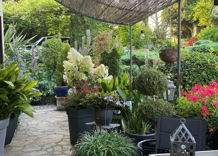 la terrasse en été