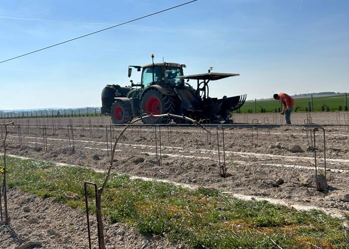 Plantation Pinot Noir APRONIE