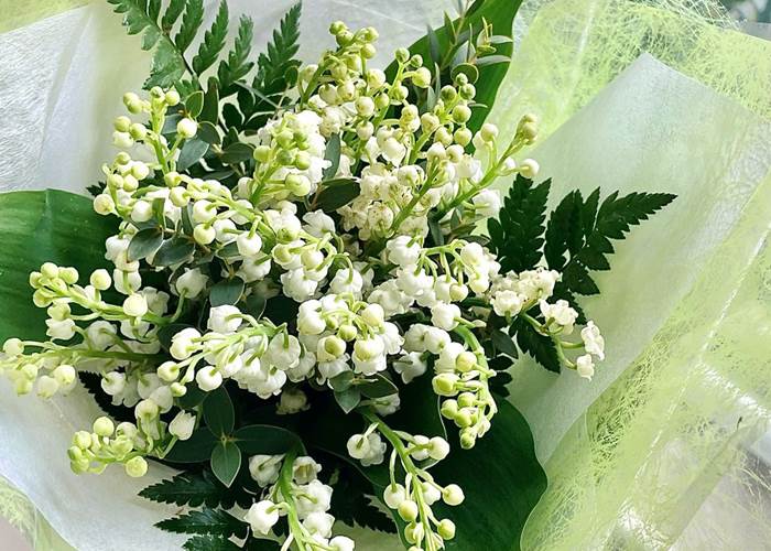 muguet