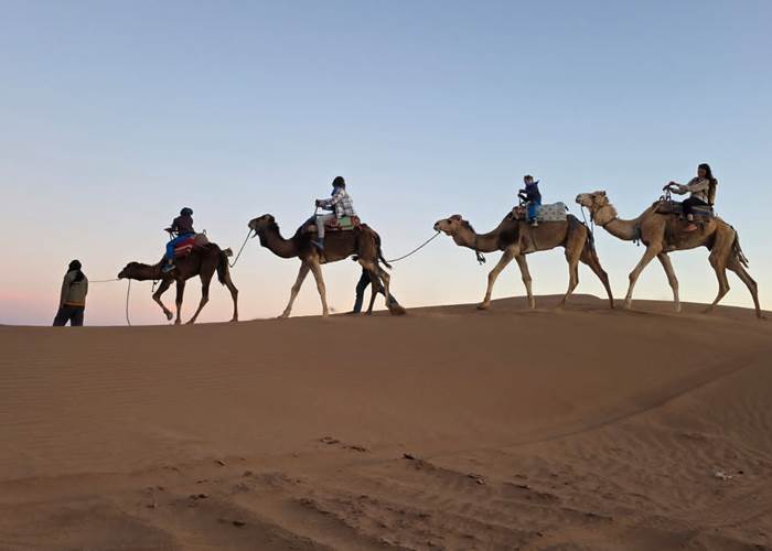 IMG-20250225-WA0039