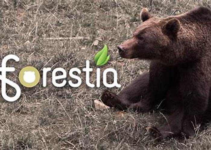 Parc animalier Forestia