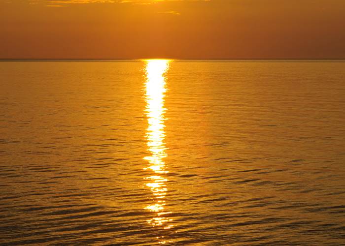 L_Acadien Sea Adventures_Mackerel_2011_16