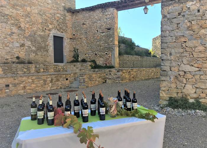 Dégustation de vins