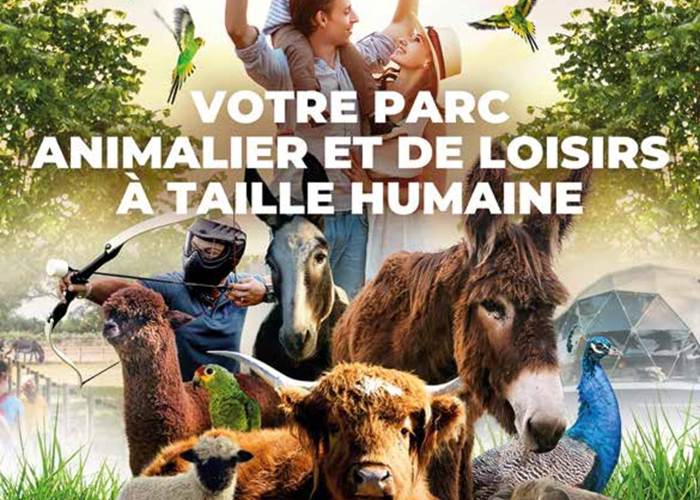 Sans titre