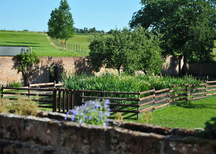 Système de lagunage - gravière - Gites à la Ferme du Parc