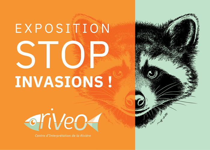 exposition-stop-invasions