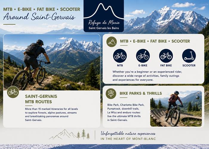 MTB FAT BIKE Scooter EN
