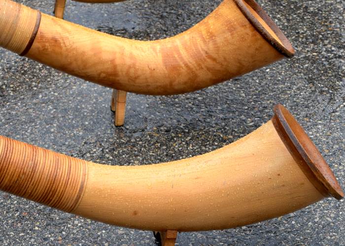 Concert de cor des alpes