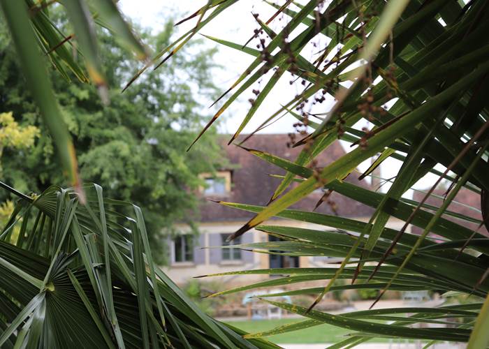 Les Charmes de Sarlat - Jardin vue maison
