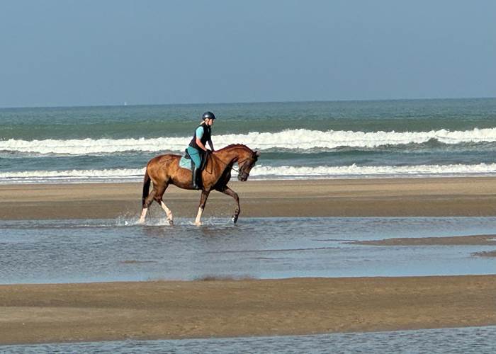 Grande Plage de Saint-Trojan-les-Bains