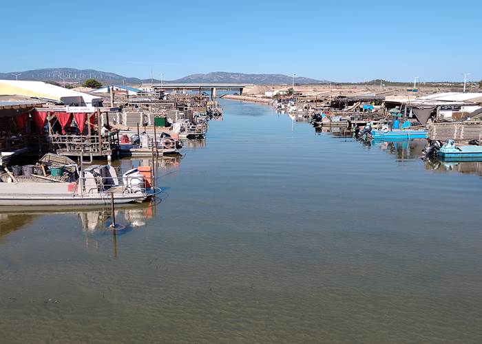 Des huîtres aux étangs de Leucate 🦪🦪🦪