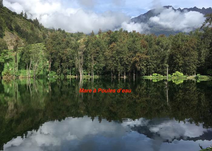 Mare à Poules d'eau