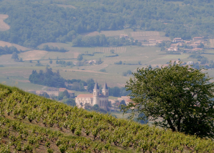 Le Beaujolais et ses nombreux clochers-page