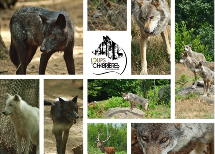 Loups chabriere-page