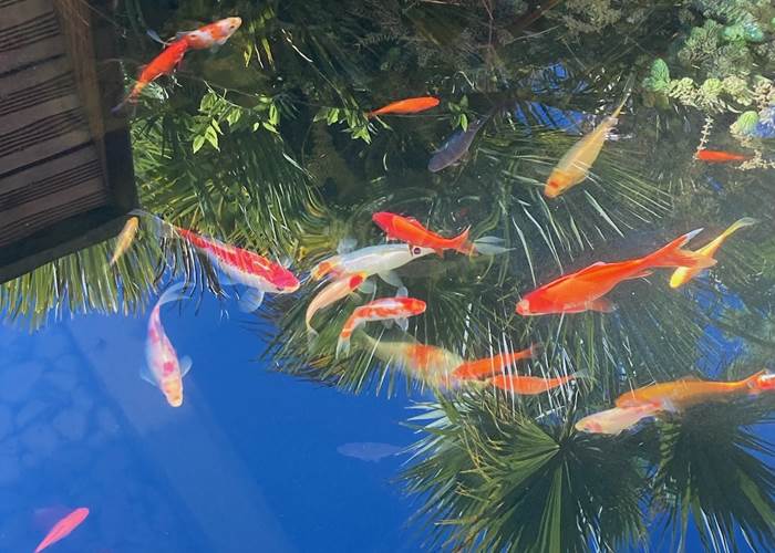 Sans titre