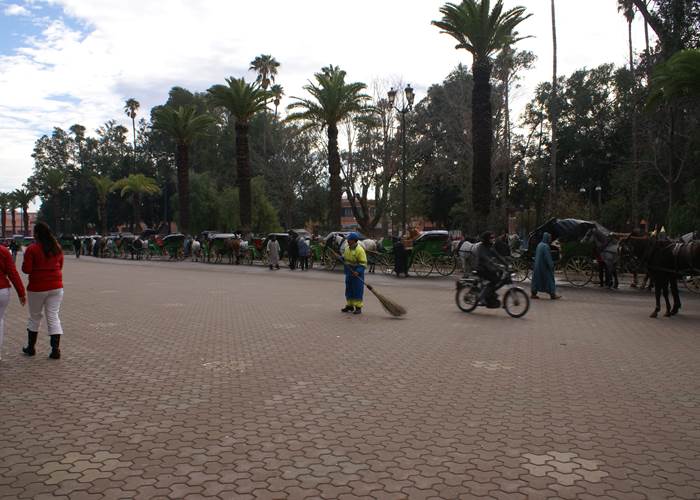 calèche-à -marrakech