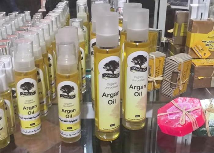 L'Arganier : Un Élixir de Jouvence