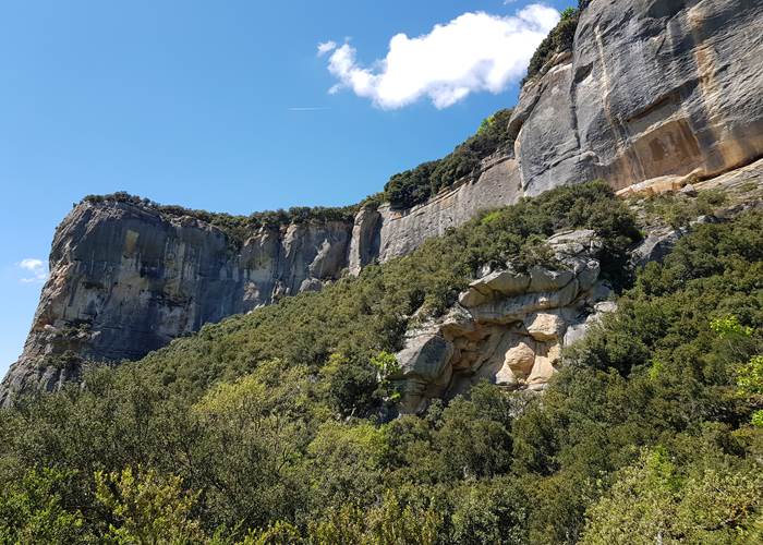 Falaise d'escalade de Buoux en Provence - plateau des Claparèdes Luberon