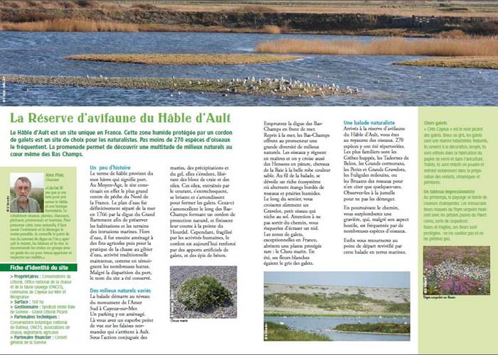 la réserve du Hâble d'Ault à Cayeux sur Mer