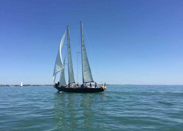 Penduick baie de Pornic