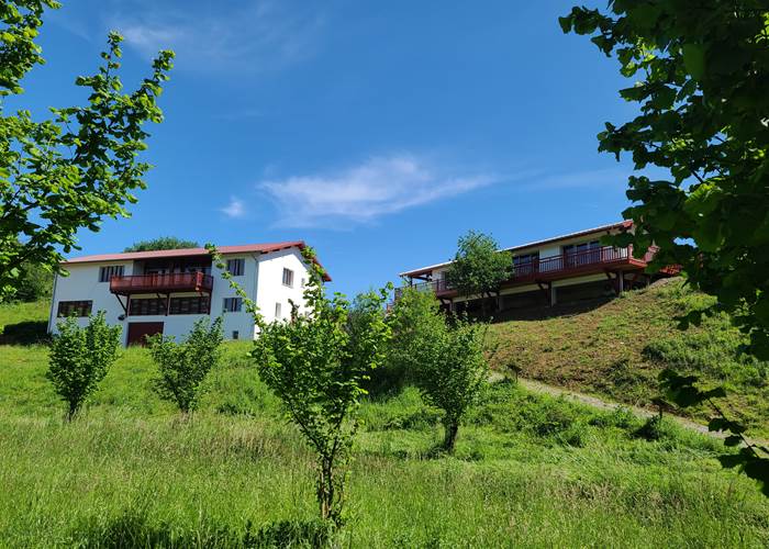 Huilerie Errota - La Noisette Basque