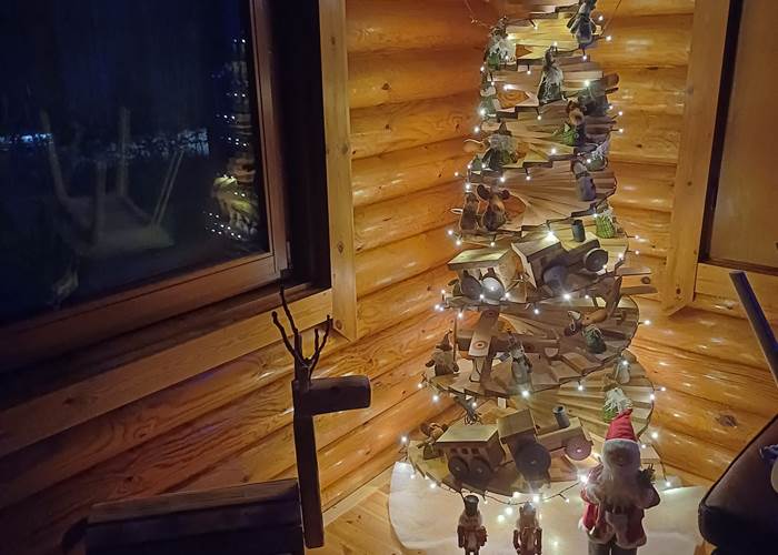 Quel beau sapin