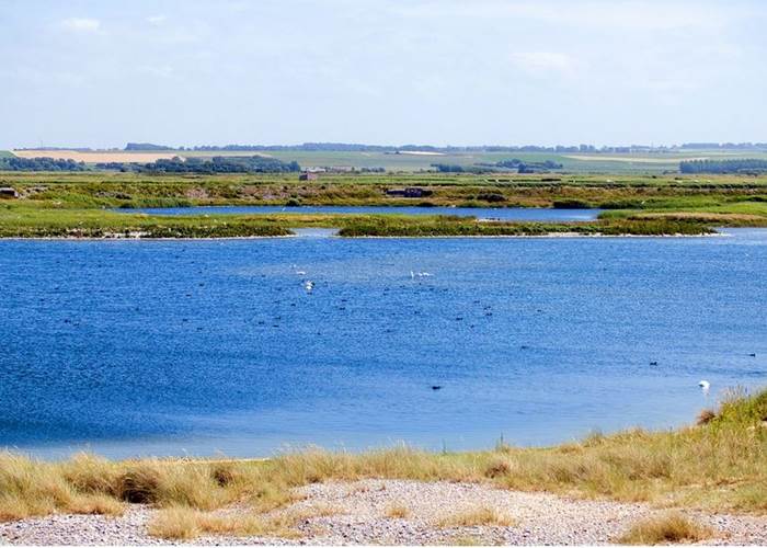 photo de la réserve du Hâble d'Ault à Cayeux sur Mer
