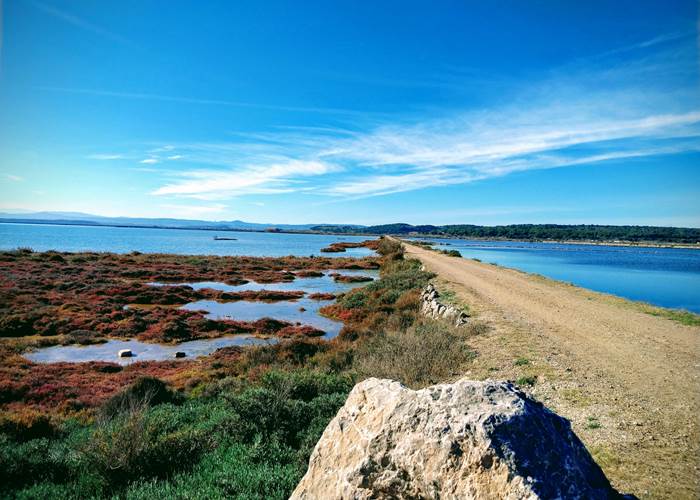 Balade en pleine nature