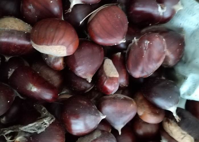 Fête de la châtaigne