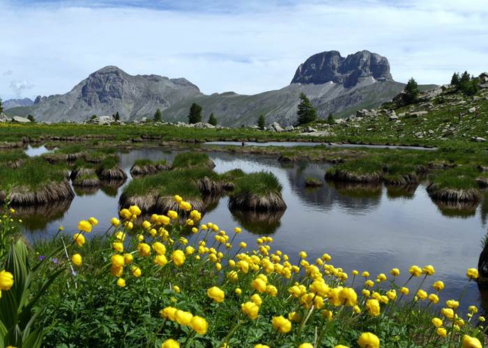 Les eaux tortes-page
