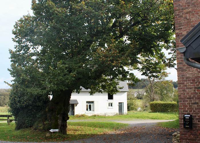 L'arbre aujourd'hui-page