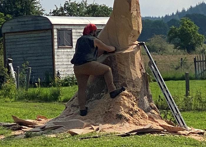 Les terres de la chouette, travail de l'artiste et de la chouette qui prend forme petit à petit