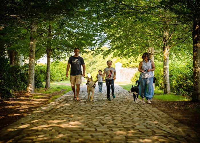 Domaine du Lain - Gestel-page