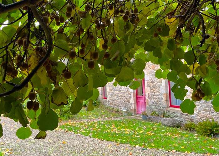 Les Kiwis de La Guyonnais