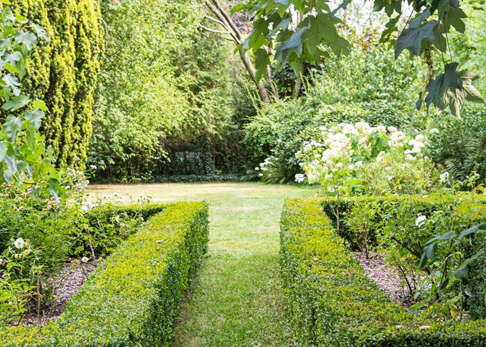 le jardin de buis