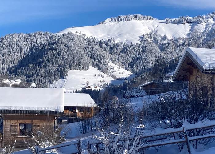 Les chalets d'Heidi