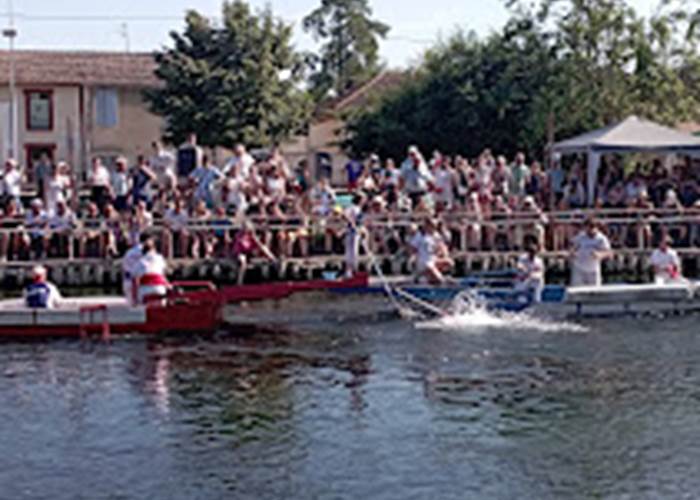 Les joutes isle sur la sorgue