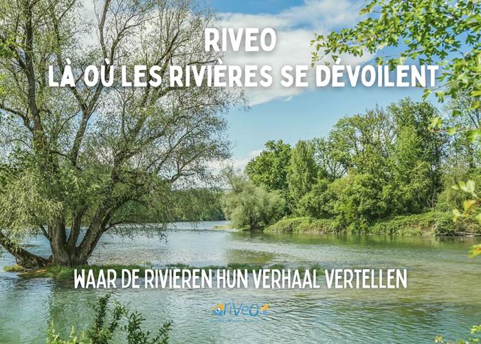 riveo-decouverte-nature-riviere-sensibilisation-environnement-ardenne