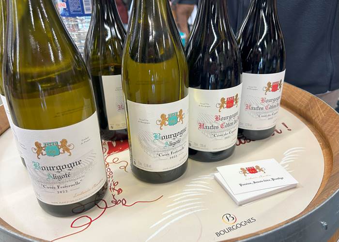 Dégustation : Un domaine, un vigneron