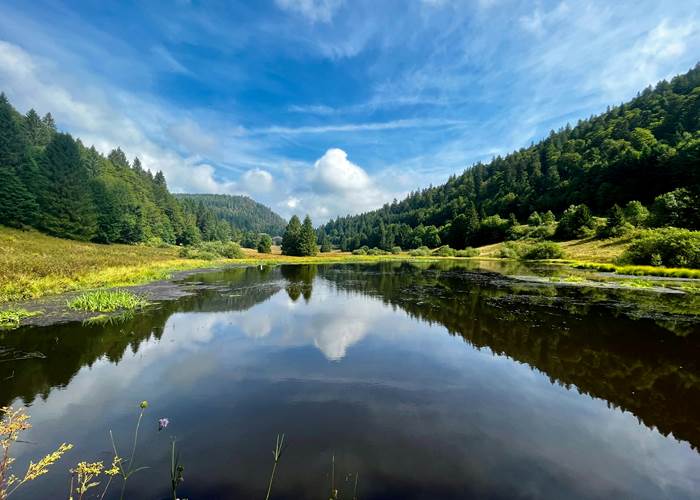 Lac de Longemer, Vosges-page