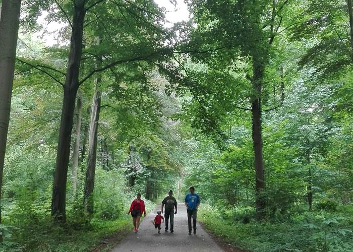 Le bois de la Vecquée