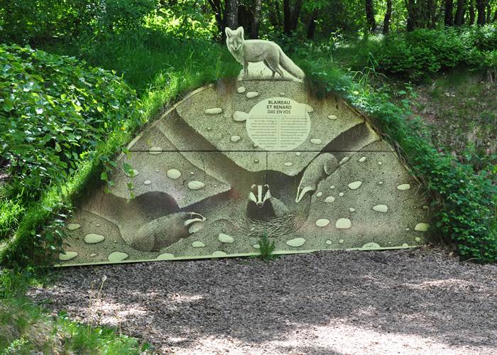 cachette souterraine blaireau et renard