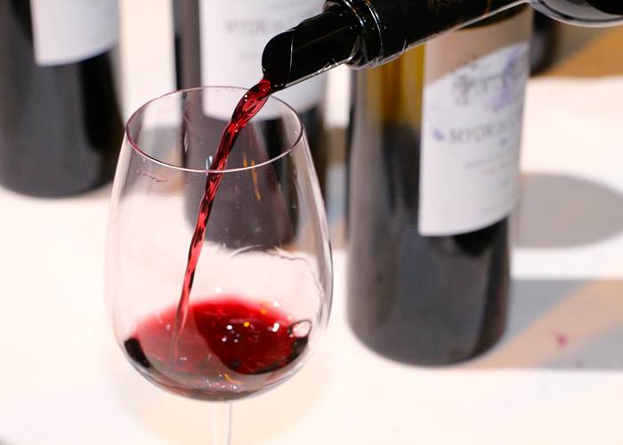Dégustation des vins les plus connus au monde