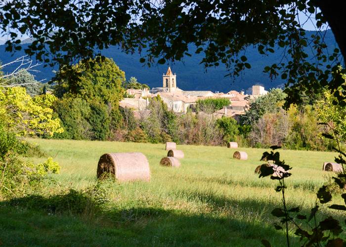 Le village de Cruis vu depuis la bastide