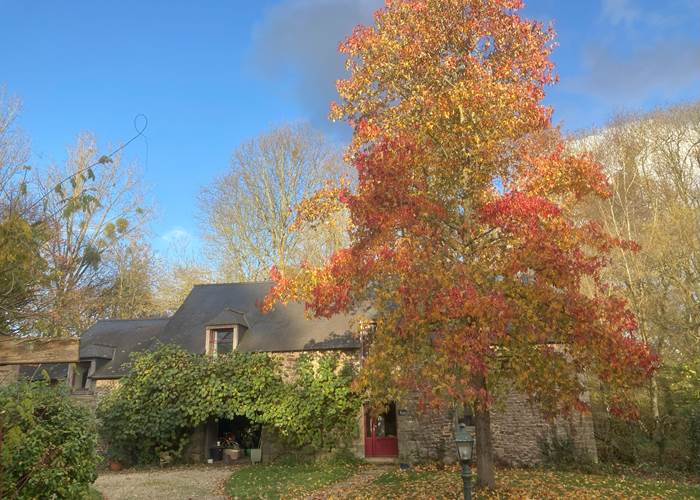 belles couleurs d'automne ...