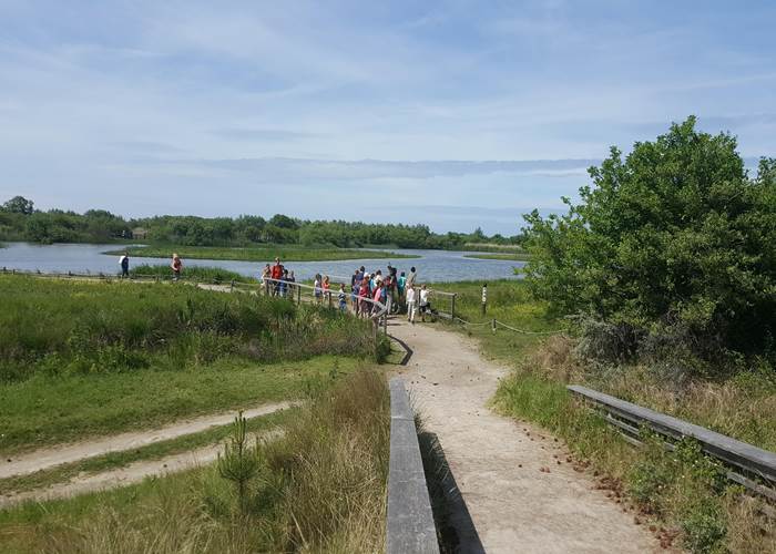 Le Parc de Marquenterre Somme Tourisme-page