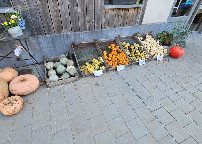 préparer Halloween à la Ferme du Maustichi